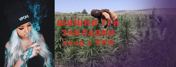 ешки Елабуга